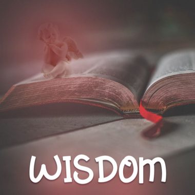 Panier, Edelconcept - Musique Libre de Droits